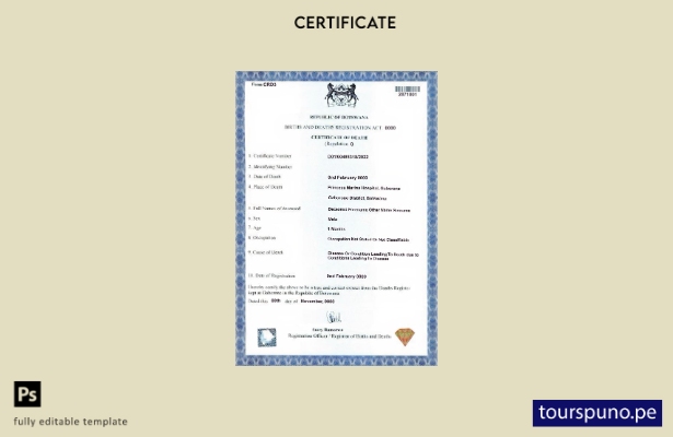 Plantilla de certificado de defunción de Botswana lista para imprimir en formato